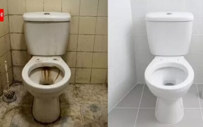 How to clean your toilet seat without using a brush: Try this toothpaste and baking soda hack |