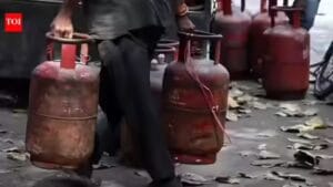 LPG woes: 2 power subsidy for TN eateries | India News