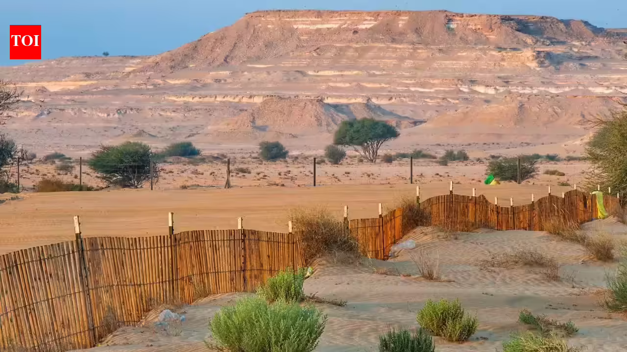 This country has almost no natural forests, and the reason might surprise you |