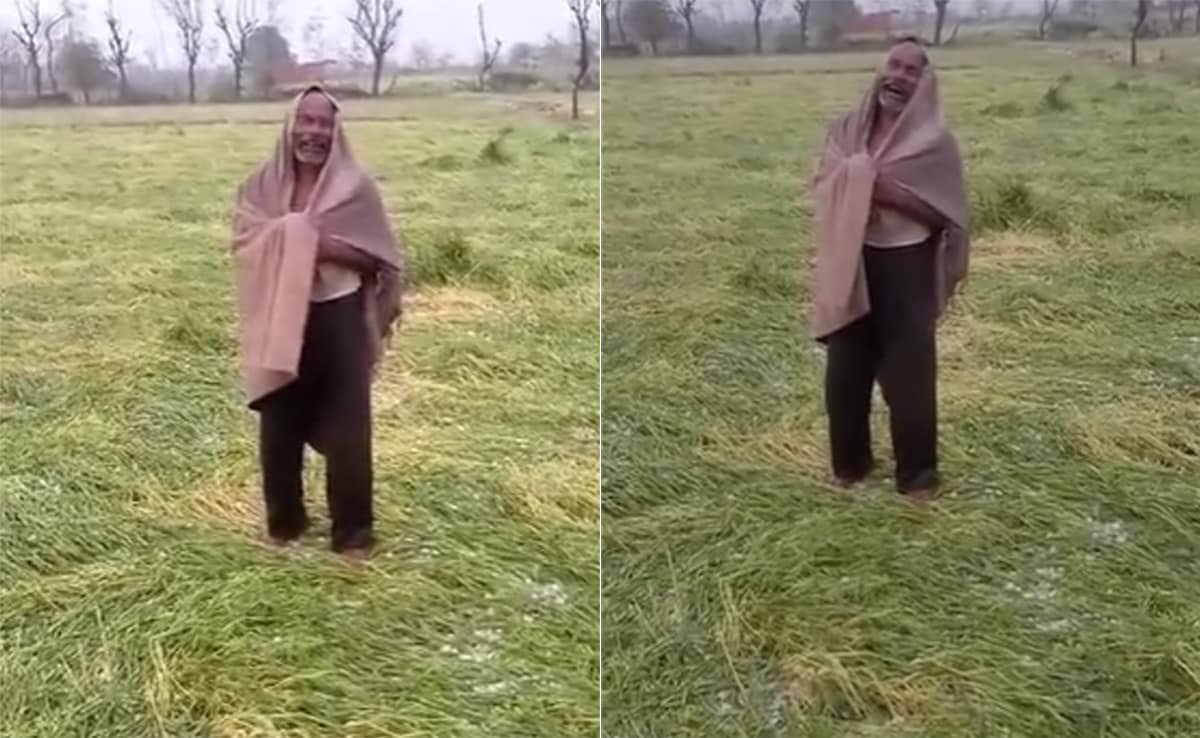 बेमौसम बारिश से किसानों की फसल तबाह, खेतों में खड़ी मेहनत पर फिरा पानी, मुआवजे की आस में किसान