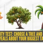 Personality test: Choose a tree and see what it reveals about your biggest talent