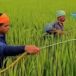 64 LT urea, 19 LT other fertilisers: India boosts import plans as global prices double amid Middle East crisis