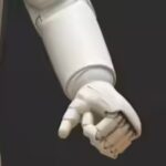 AI rush meets workforce lag: Is readiness becoming the real crisis behind automation?