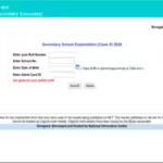 CBSE Class 10 result 2026 released: Check how to calculate your percentage from CGPA