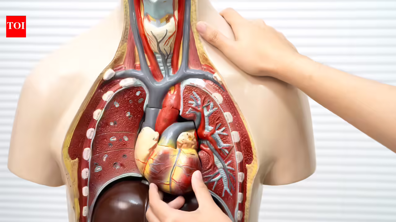 Foods that support your lungs, liver, gut, and eyes