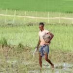 Govt says El Nino risk to farm output manageable, cites irrigation, reservoirs, seed buffers