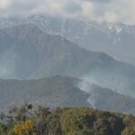 Himachal News: पालमपुर के जंगलों में भड़की भीषण आग, 48 घंटे से जल रही धौलाधार की पहाड़ियां; जंगली जानवरों पर भी संकट