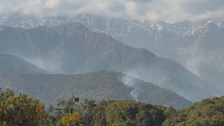 Himachal News: पालमपुर के जंगलों में भड़की भीषण आग, 48 घंटे से जल रही धौलाधार की पहाड़ियां; जंगली जानवरों पर भी संकट