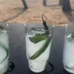 Indian heritage spirits Mahua and Goan Feni debut in UK market | World News