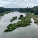 Kunthipuzha: The silent river of India flowing through Kerala’s untouched wilderness |