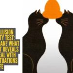 Optical illusion personality test: Cats or woman? What you see first reveals how you deal with difficult situations in life |