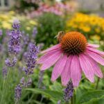 Six low-maintenance flowers your garden needs right now |