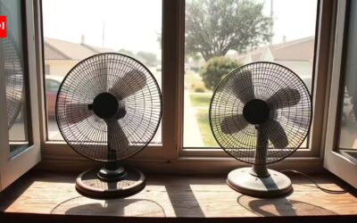 The cross-ventilation trick: How to position your fans like a pro this summer |