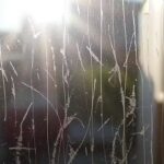 The science of streak-free living: Why your windows stay cloudy and how to finally clear the haze |