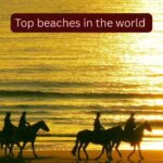 Top 8 beaches in the world in 2026 and why travellers can’t get enough