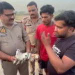 Rs 4 Lakh Currency Notes Found Scattered Across Meerut-Karnal Highway in Shamli
