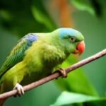 Why parrots can copy human voices but may not always understand the meaning