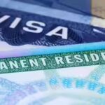 'You are not going to get a Green Card if...': USCIS director warns about opening older cases to send people back