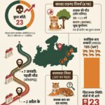 Tiger Death MP: मध्य प्रदेश में बाघों की मौत