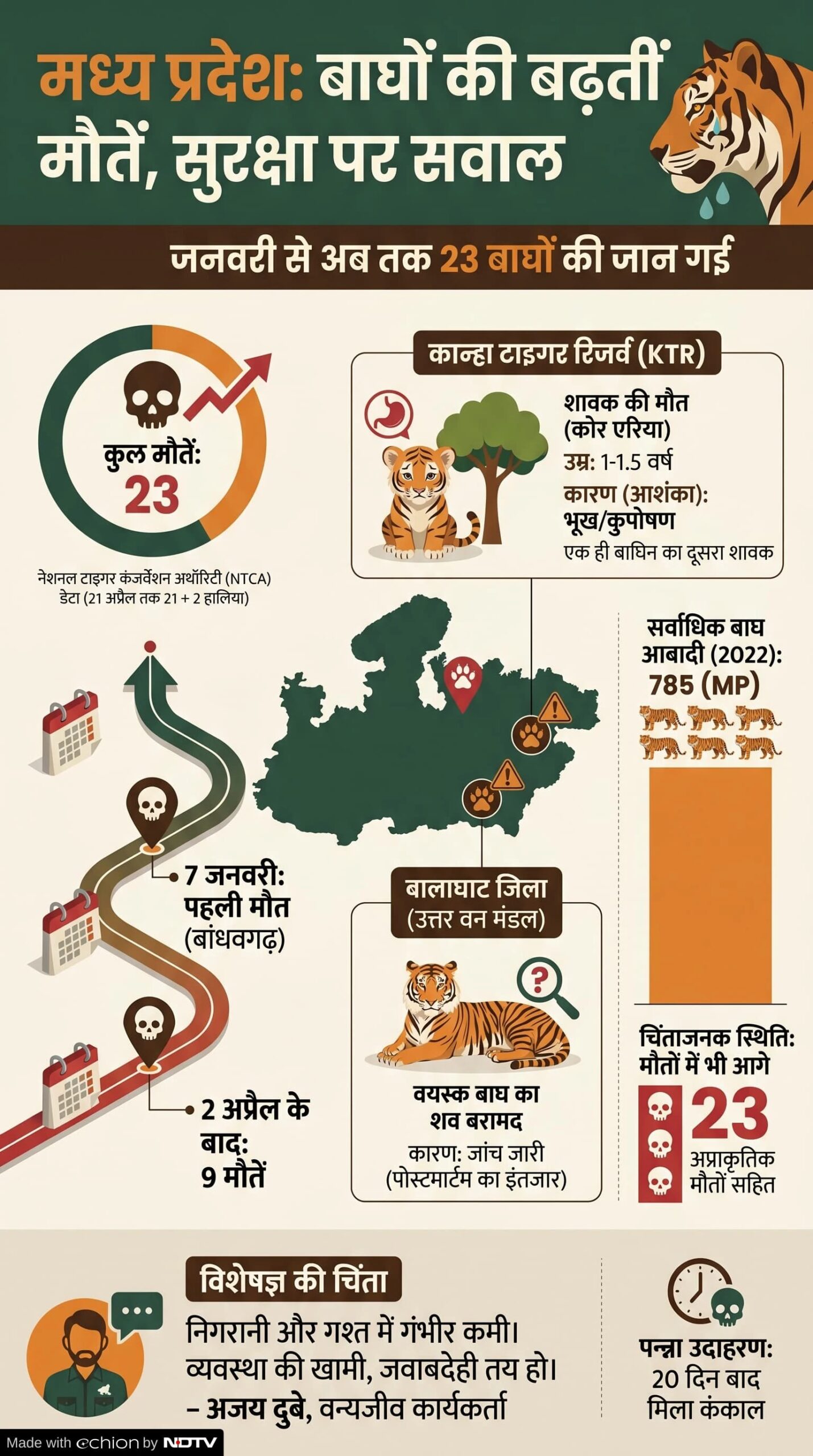 Tiger Death MP: मध्य प्रदेश में बाघों की मौत