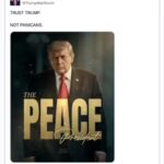 ‘Trust Trump, not panicans’: Donald pushes ‘the peace president’ image after 'reopening' Hormuz