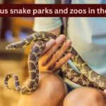 10 famous snake parks and zoos in the USA every wildlife traveller should visit and how to reach here