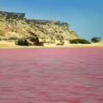 10 pink lakes around the world: From Lake Hillier to Pink Lake | World News