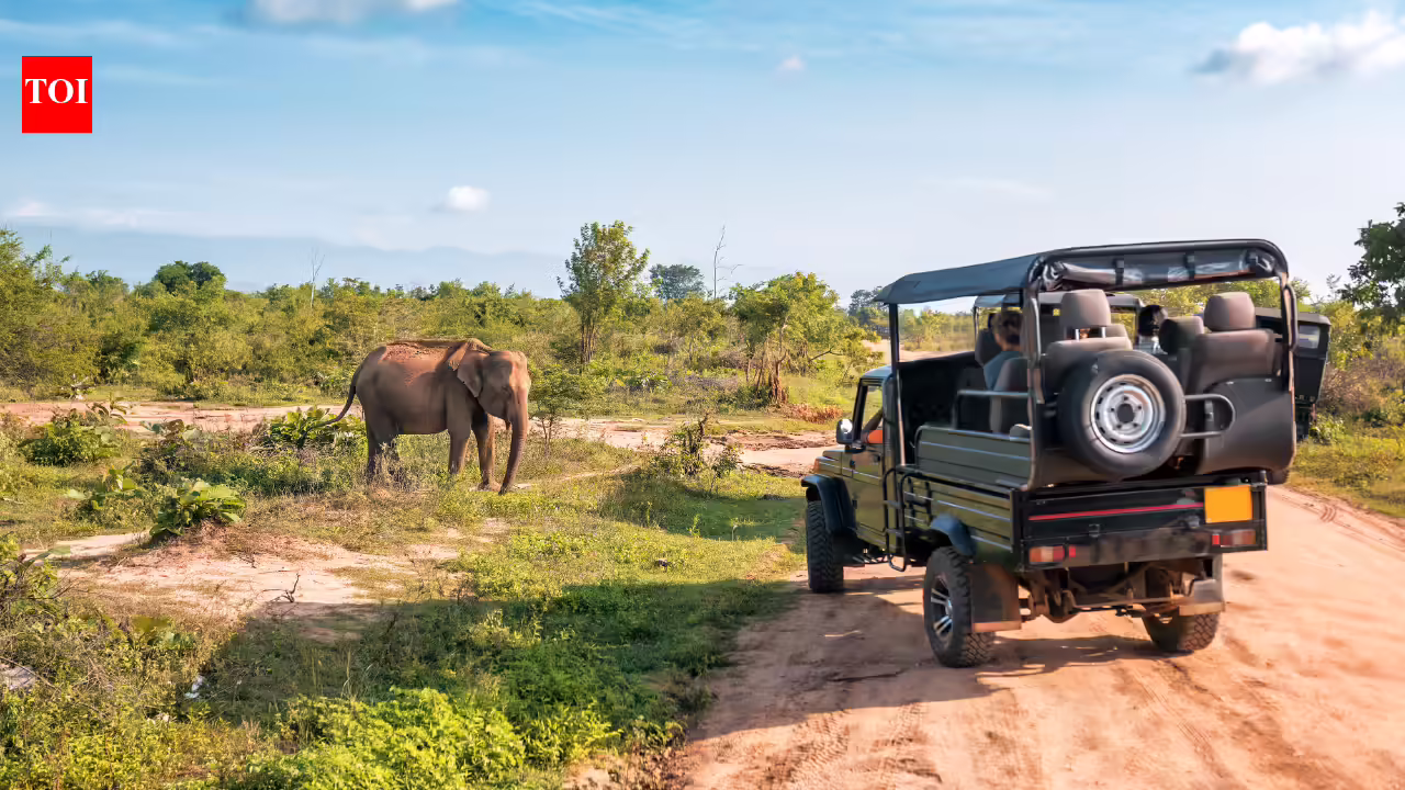 10 underrated wildlife destinations in Asia that are less crowded than popular safari parks