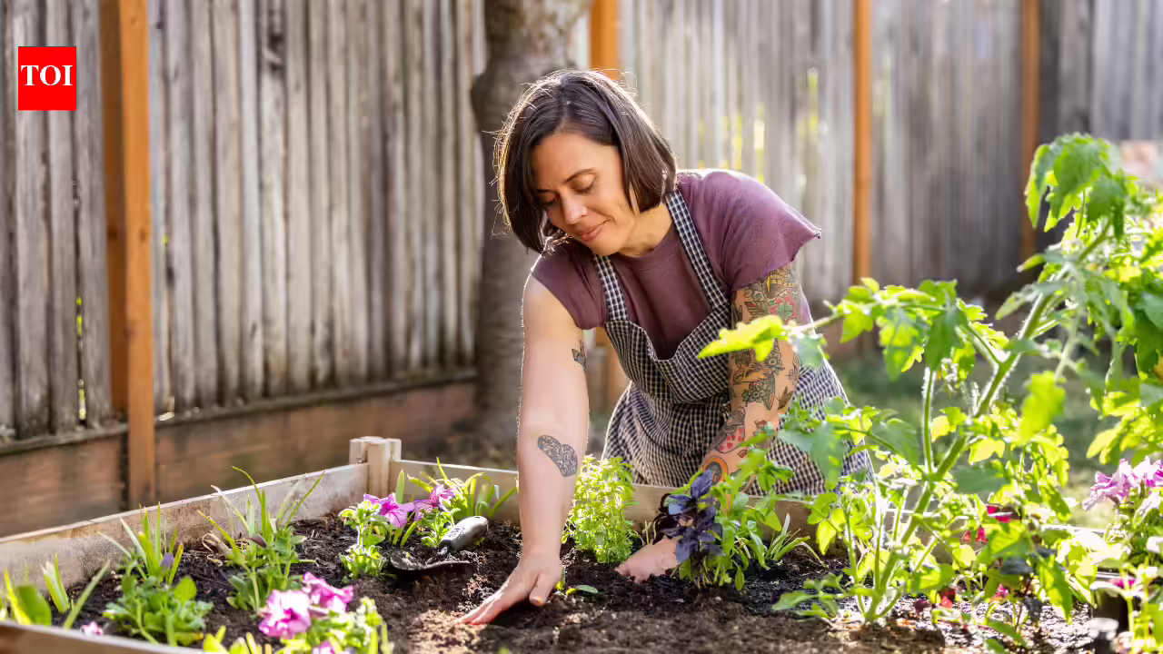 Things you are not allowed to do in your garden in the US
