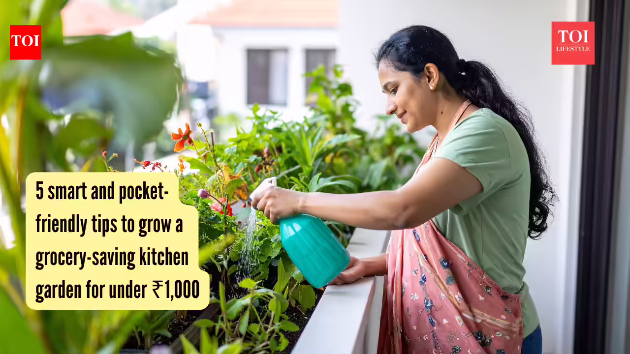 5 smart and pocket-friendly tips to grow a grocery-saving kitchen garden for under ₹1,000