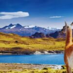 5 unique national parks in South America where waterfalls, wildlife and wilderness come alive