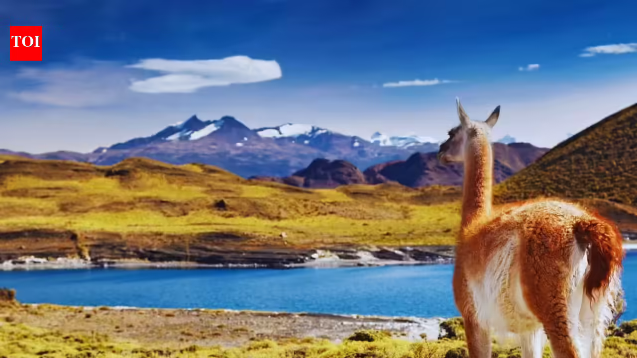 5 unique national parks in South America where waterfalls, wildlife and wilderness come alive