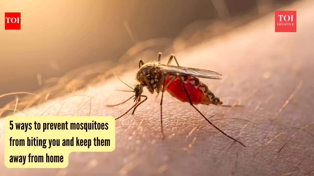 5 ways to prevent mosquitoes from biting you and keep them away from home