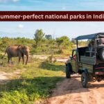 7 summer-perfect national parks in India promising an unforgettable escape; best time to visit and more