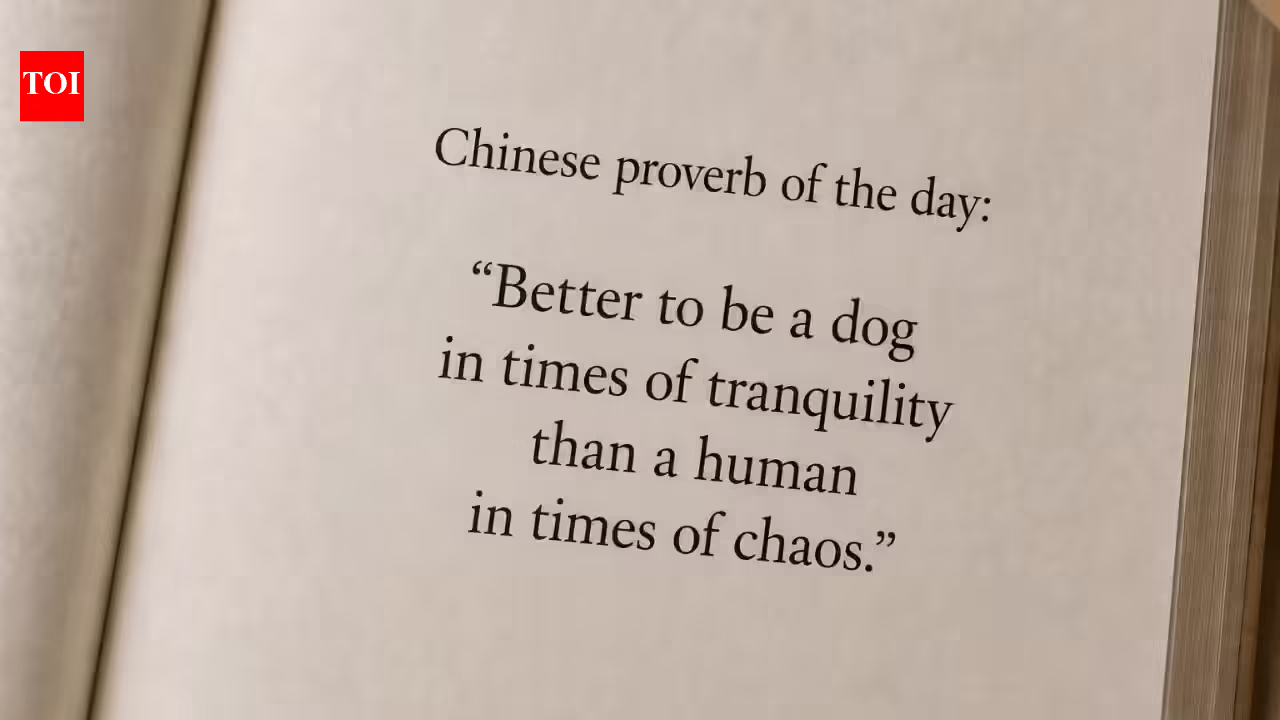 “Better to be a dog in times of tranquility than a human in times of chaos.”