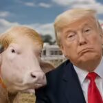 Down the Rabbit Hole: Bangladeshi buffalo 'Donald Trump' pardoned – a brief history of animal sacrifices | World News