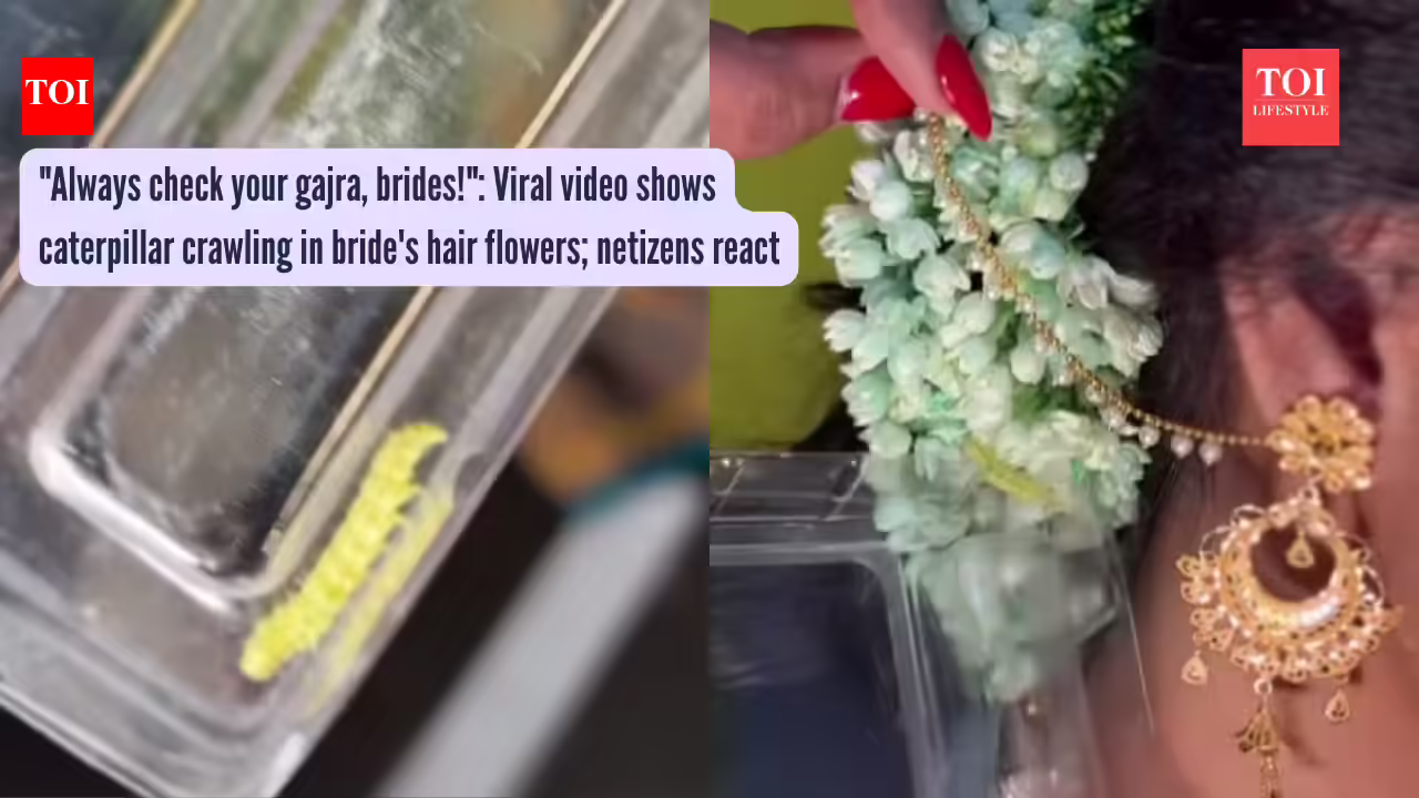 Gajra: "Always check your gajra, brides!": Viral video shows caterpillar crawling in bride's hair flowers; netizens react