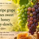 Greek proverb of the day: “The unripe grape becomes sweet like honey...” |