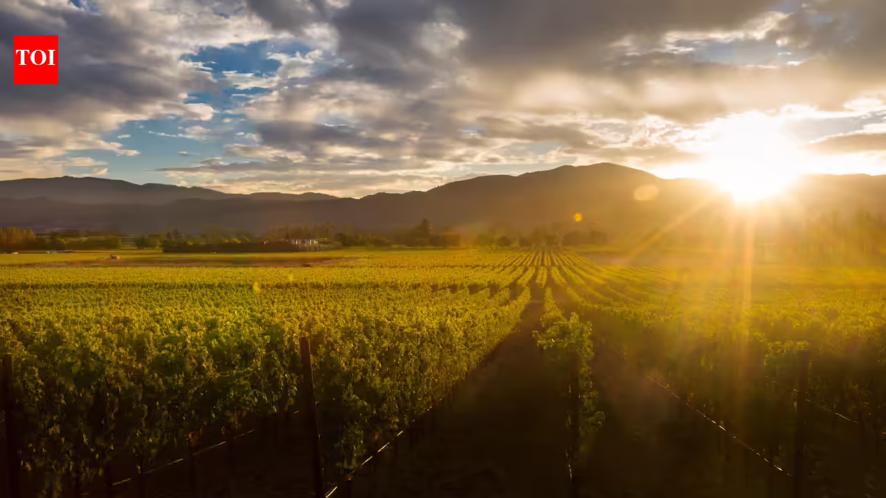 India’s hidden wine regions beyond Nashik