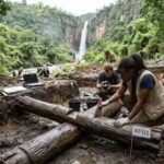 Kalambo Falls Discovery: A 476,000-year-old wooden structure found in Kalambo Falls is changing human history | World News