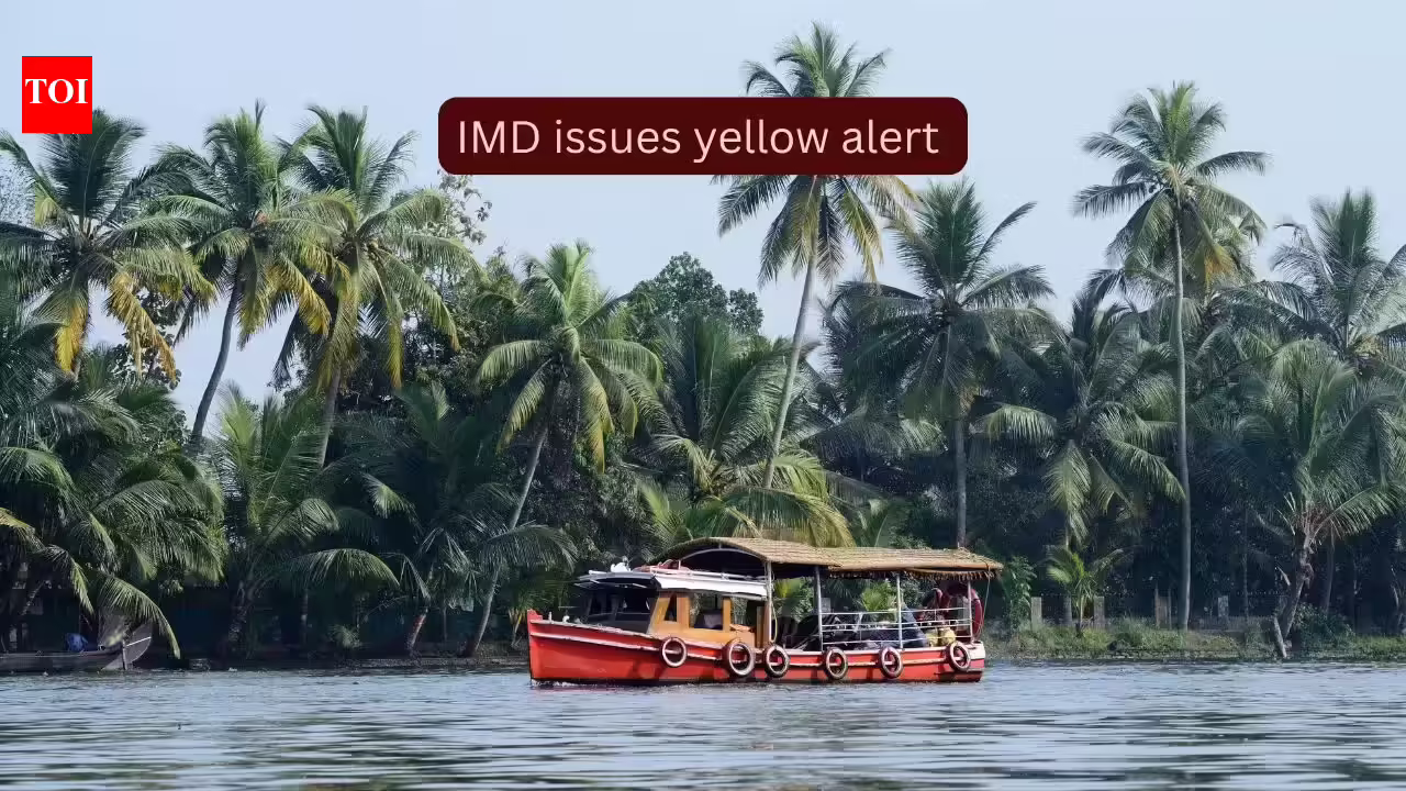 Kerala braces for more heavy rainfall as IMD issues yellow alert across several districts; what travellers need to know