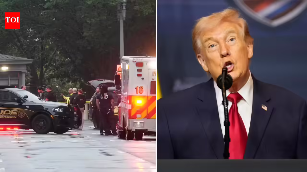 'Obsession with our country's most cherished structure': Trump reacts to White House shooting