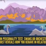 Optical Illusion Personality Test: Optical illusion personality test: Swans or orchestra? What you notice first reveals how you behave in relationships