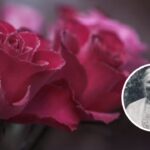 Overprotection In Parenting: Parenting quote of the day by Ellen Key: ‘At every step the child should be allowed to meet the real experience of life; the thorns should never be plucked from his roses.’