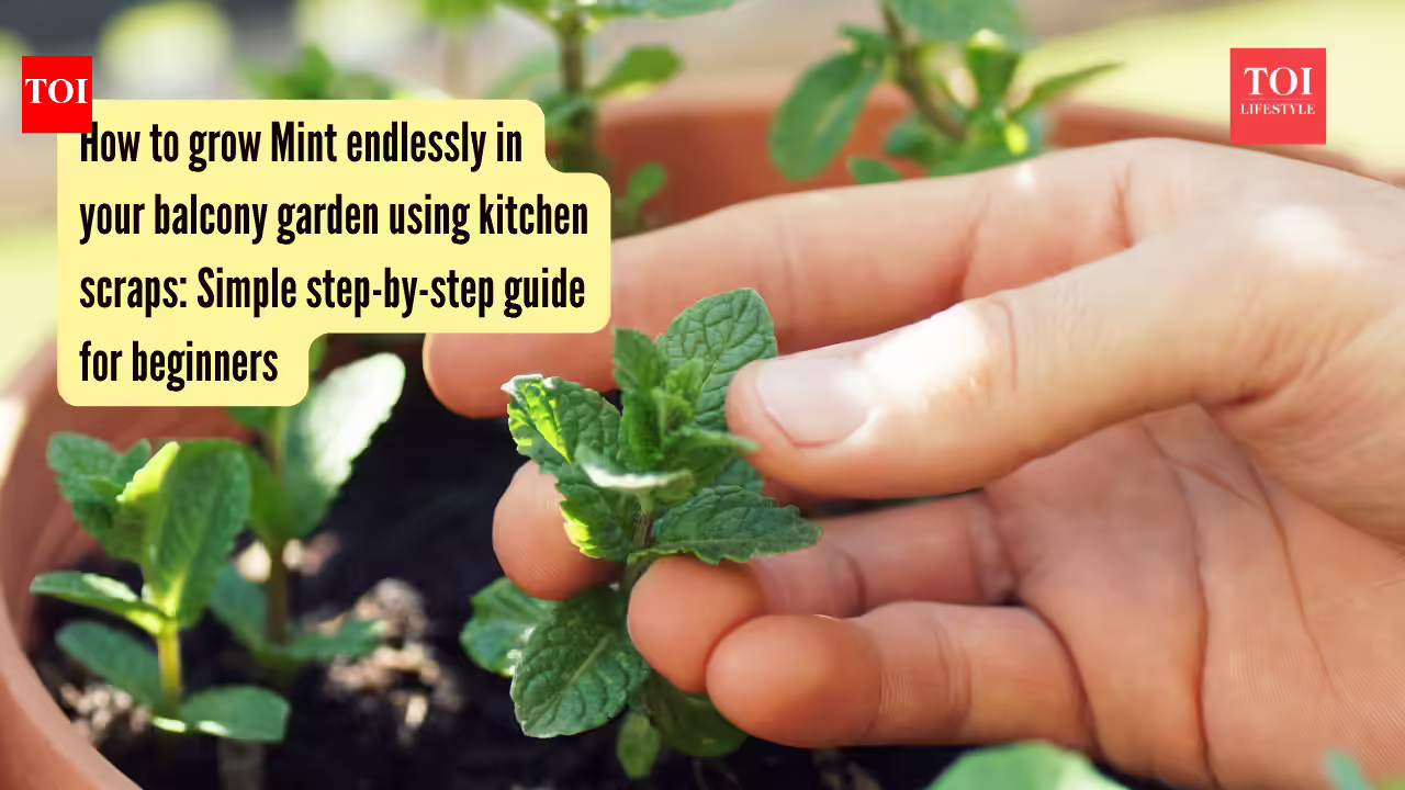 Simple step-by-step guide for beginners