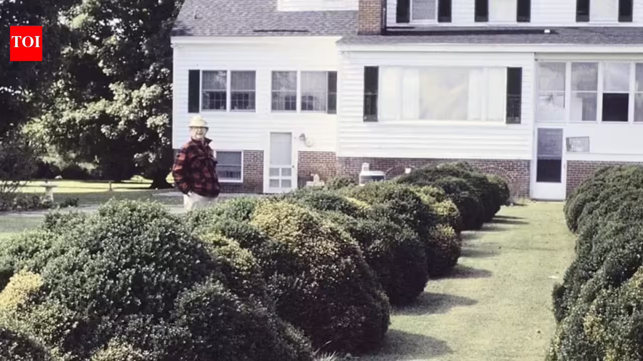 These 5 evergreen shrubs make front entry beds look expensive all year |