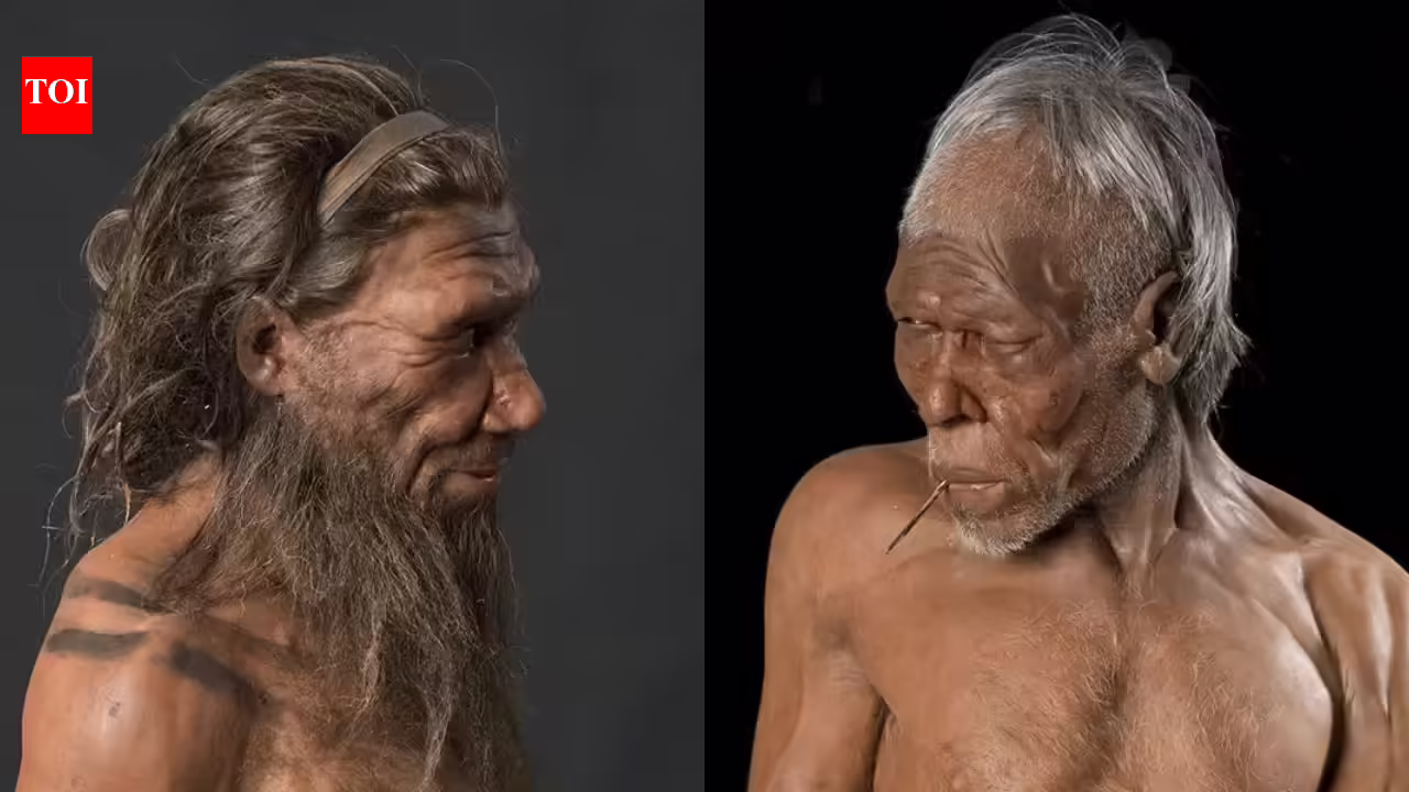 What separated modern humans from their ancient cousins