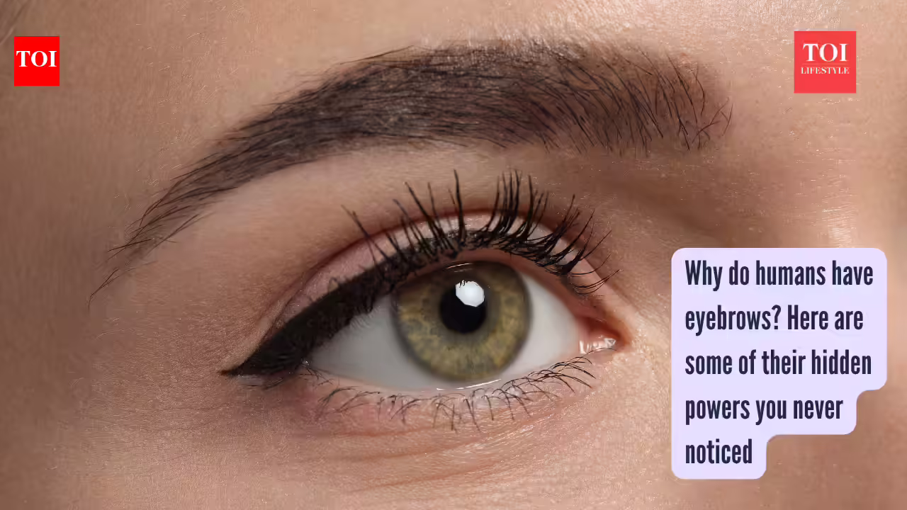 Why do humans have eyebrows? Here are some of their hidden powers you never noticed