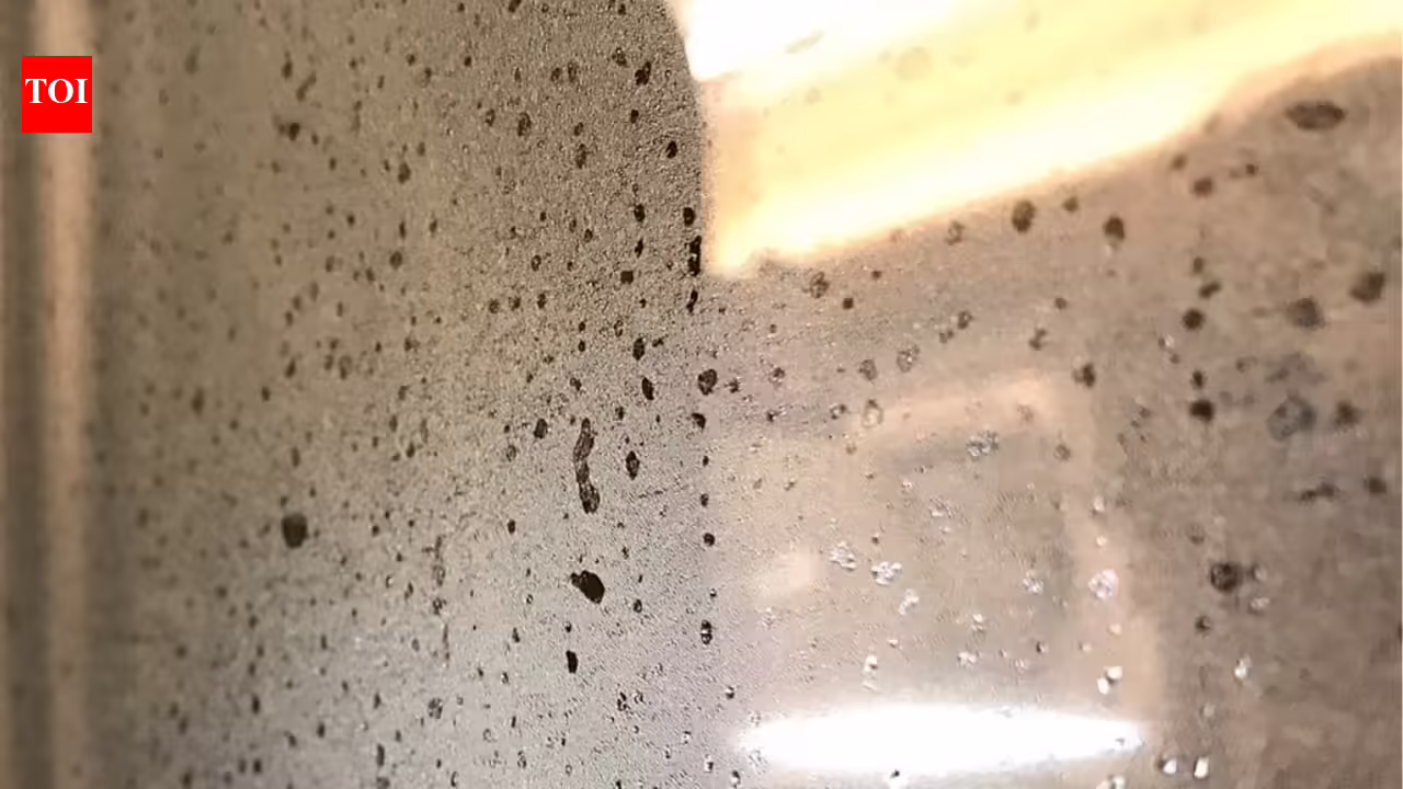 Why opening your windows after a shower could be doing more harm than good