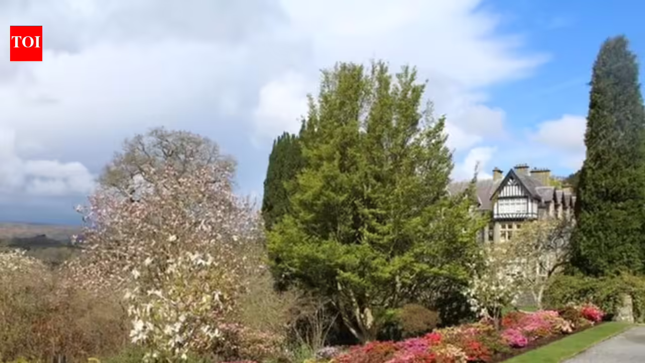 Why repeating plants makes a garden border look instantly better